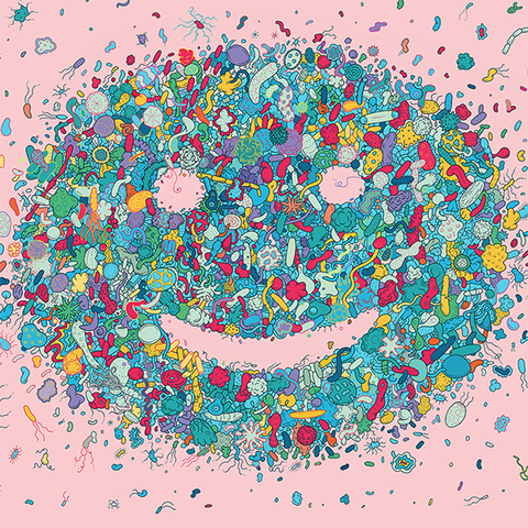 Gut Bacteria = Mood?