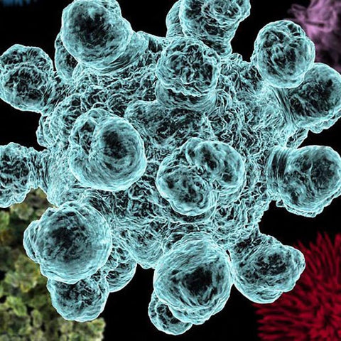 The Human Microbiome Project(s)