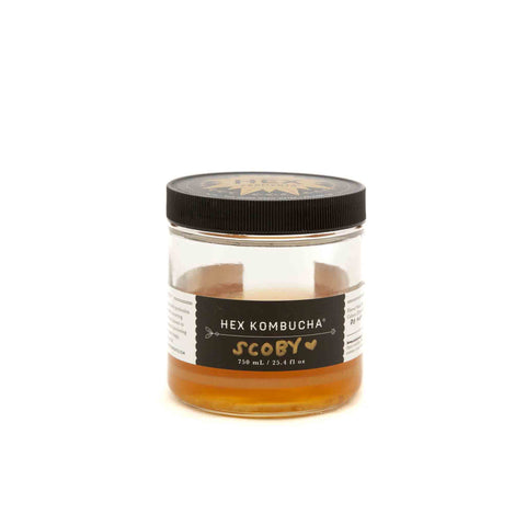 Kombucha – SCOBY