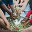 Learn to Ferment! Hands-on, in-person workshop